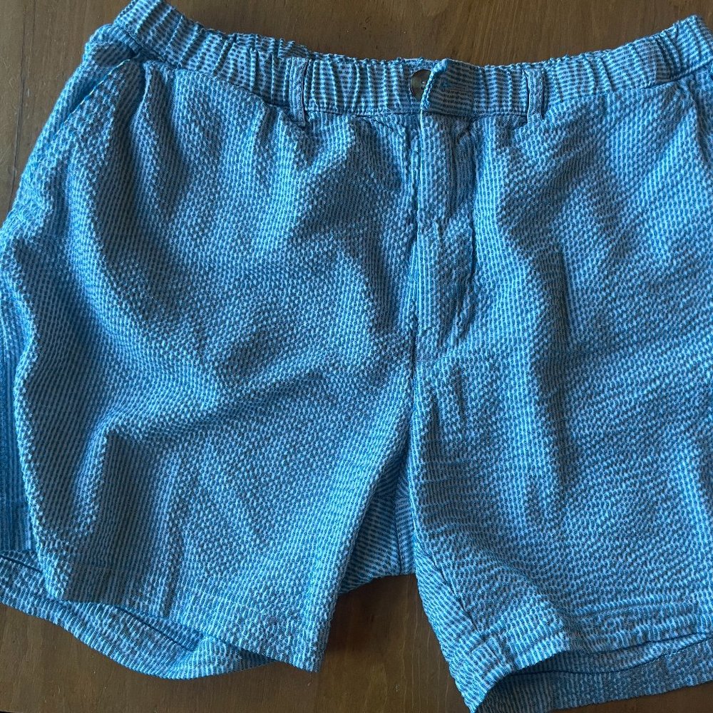 Chubbie's Blue and White Seersucker Shorts Men Size XL